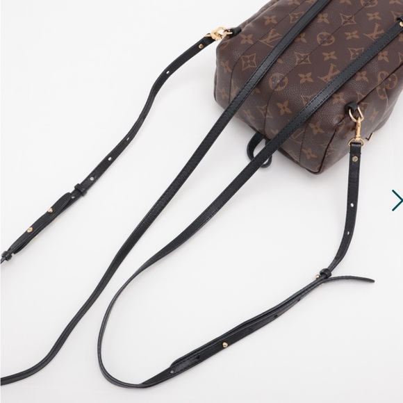 Louis Vuitton Palm Spring Mini Backpack - Picture 2 of 15